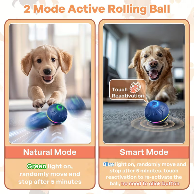 Wiggly™ Smart Ball