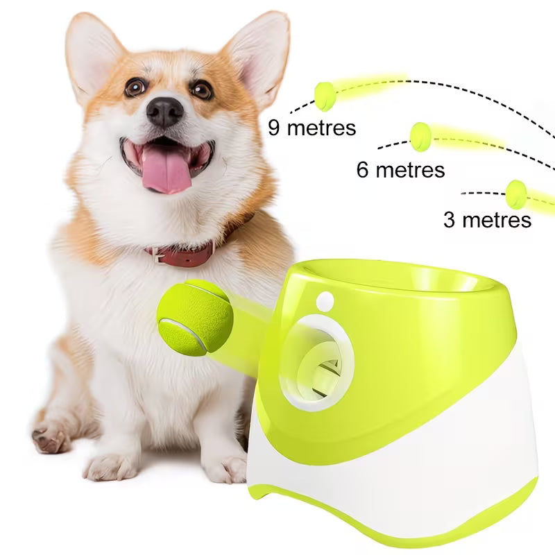 Wiggly™ Auto Fetch Ball Launcher Compact – for Small & Medium Dogs