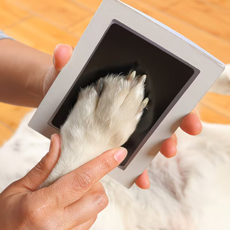 Wiggly™ PawMemory Pad