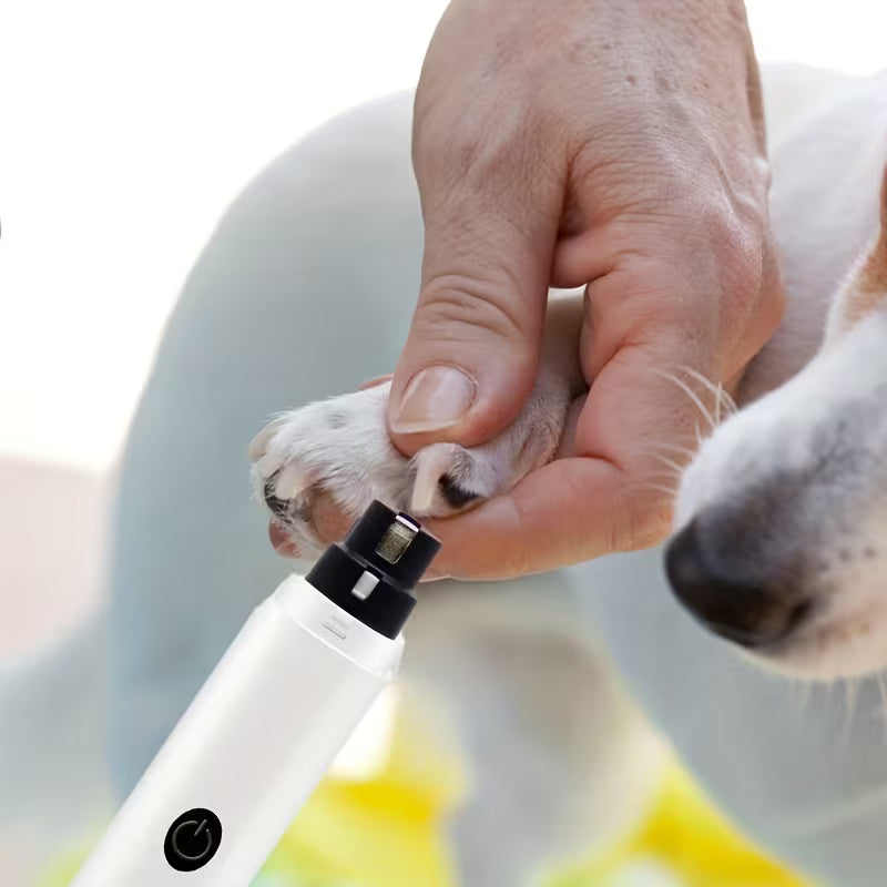 Wiggly™ PawGuard Grinder