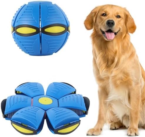 Wiggly™ Saucer Ball