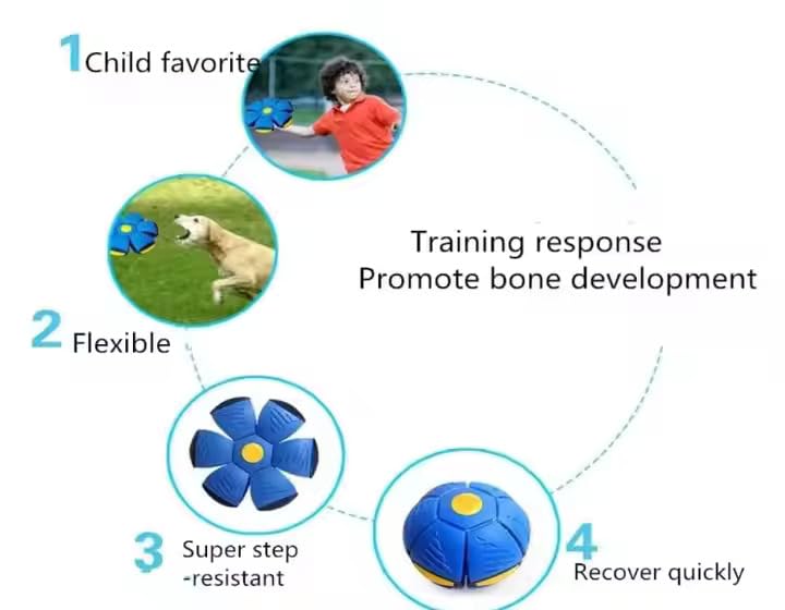 Wiggly™ Saucer Ball