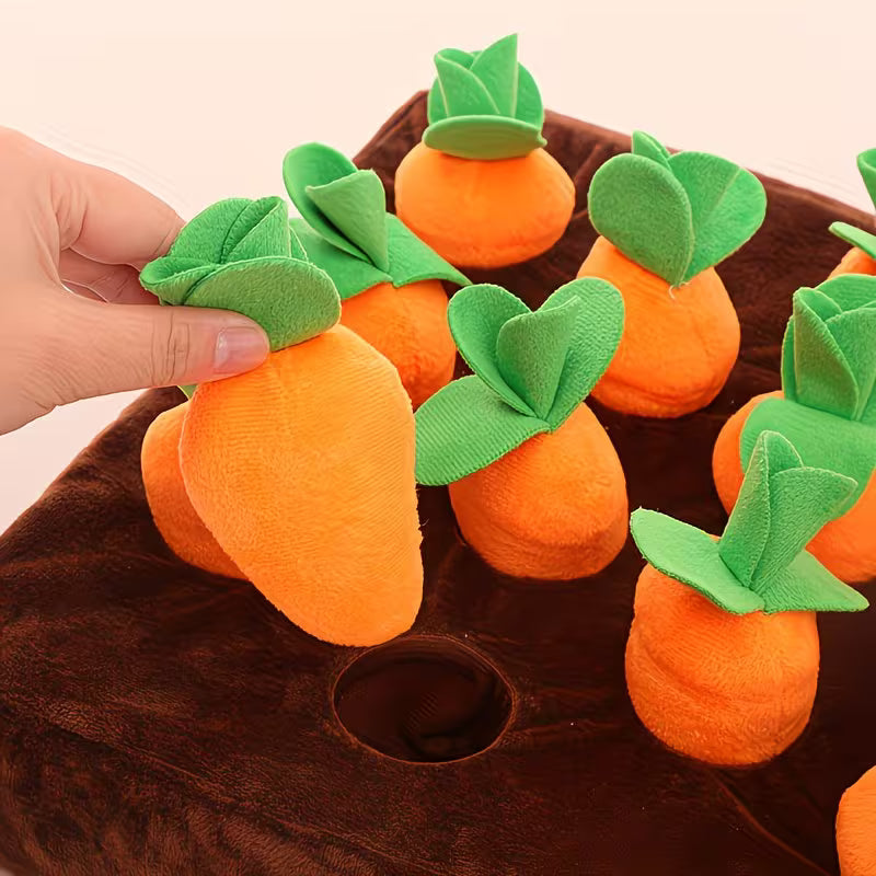 Wiggly™ CarrotQuest Toy