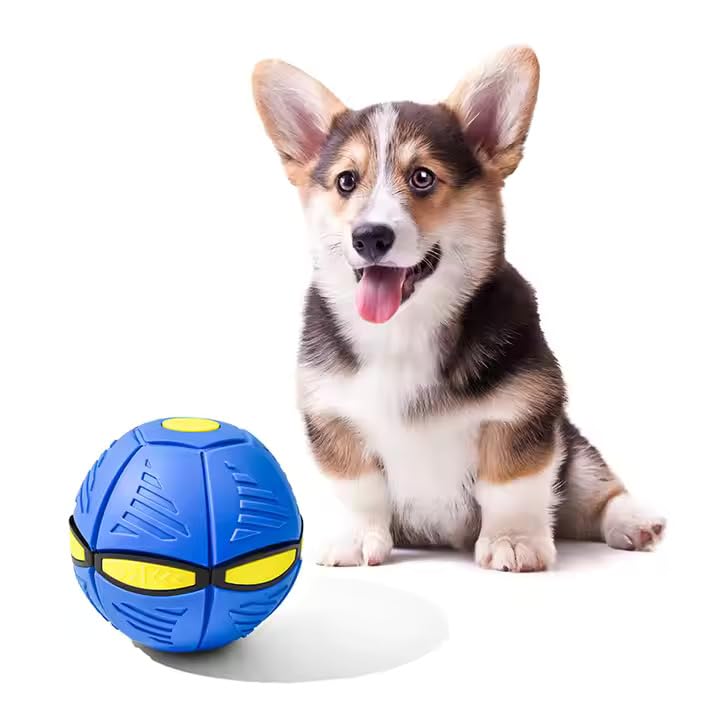 Wiggly™ Saucer Ball