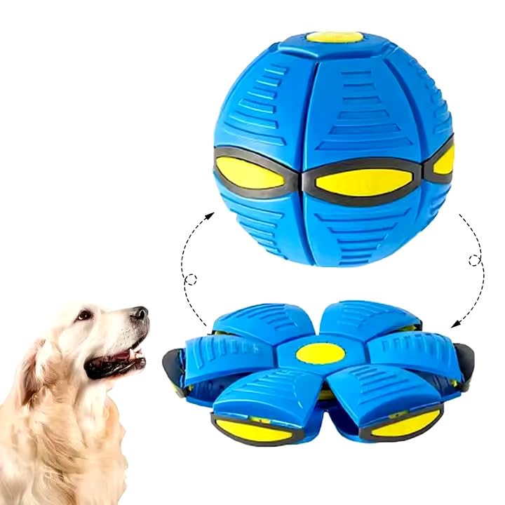 Wiggly™ Saucer Ball