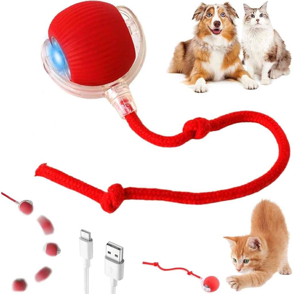Wiggly™ Smart Rolling Ball