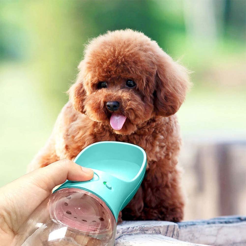 Wiggly™ Pet Water Bottle