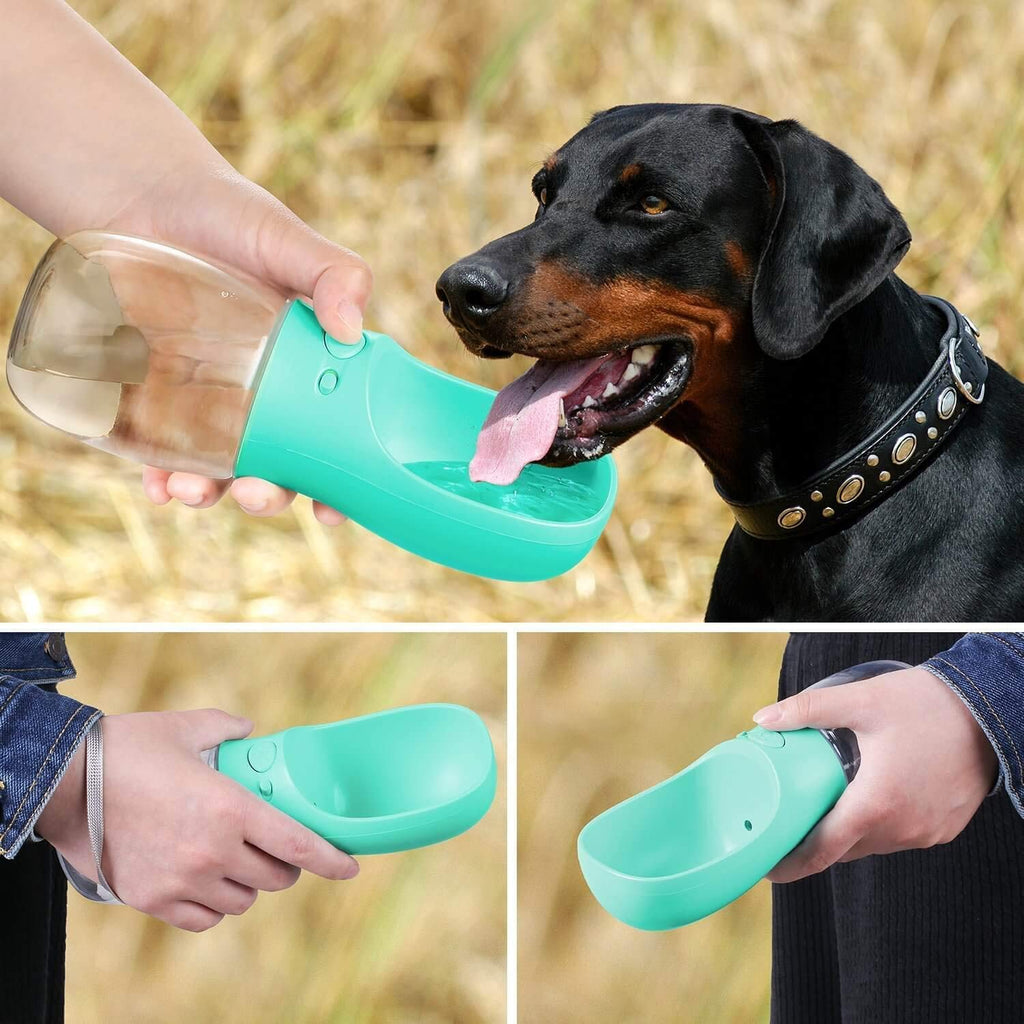 Wiggly™ Pet Water Bottle