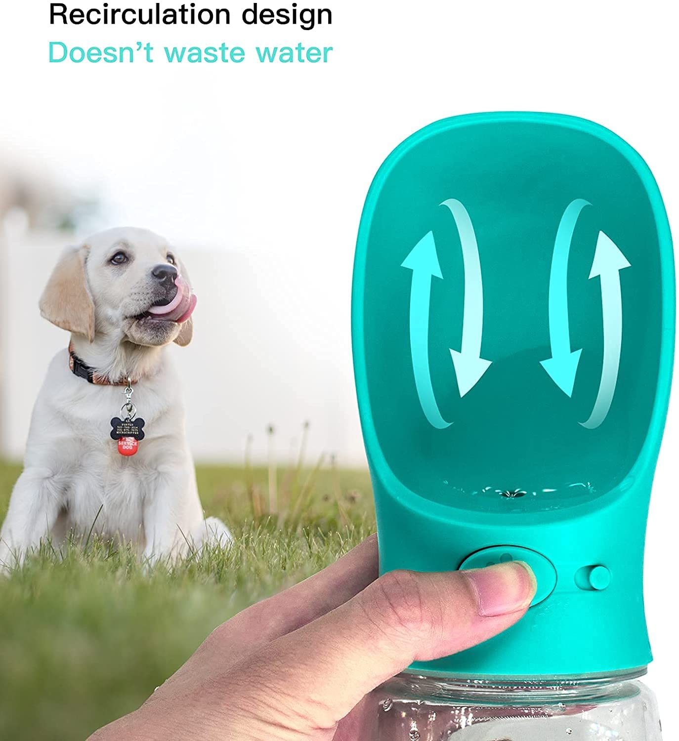 Wiggly™ Pet Water Bottle