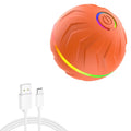 Wiggly™ Smart Ball