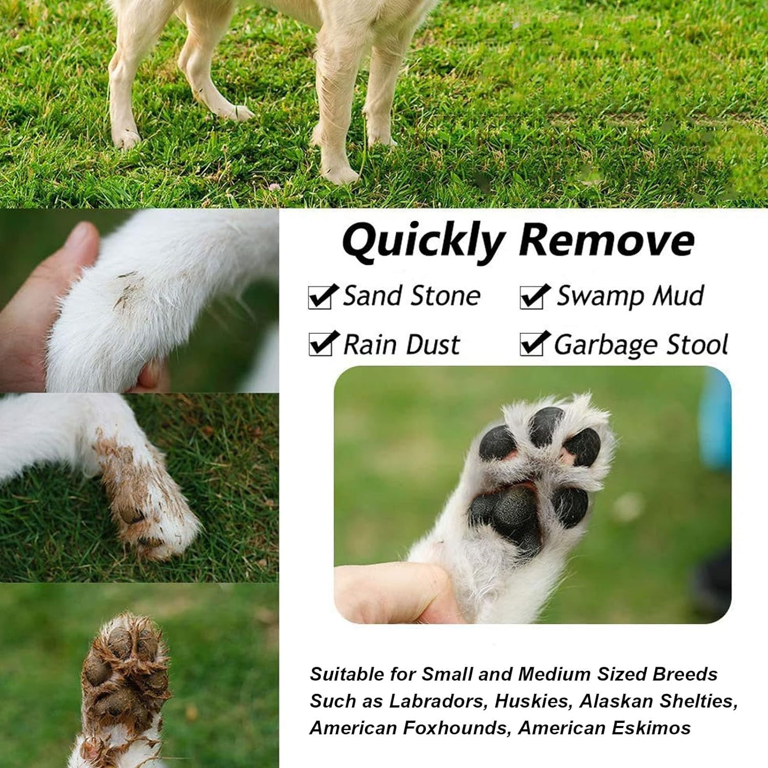 Wiggly™ QuickPaw Cleaner