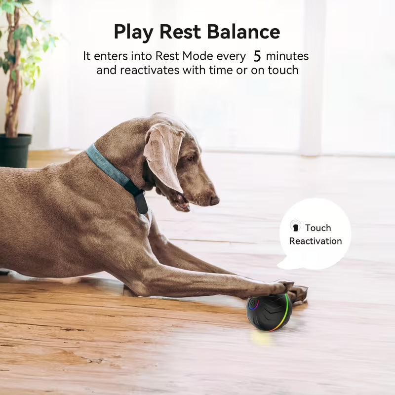 Wiggly™ Smart Ball