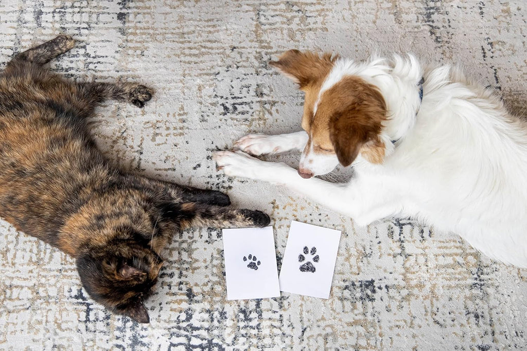 Wiggly™ PawMemory Pad