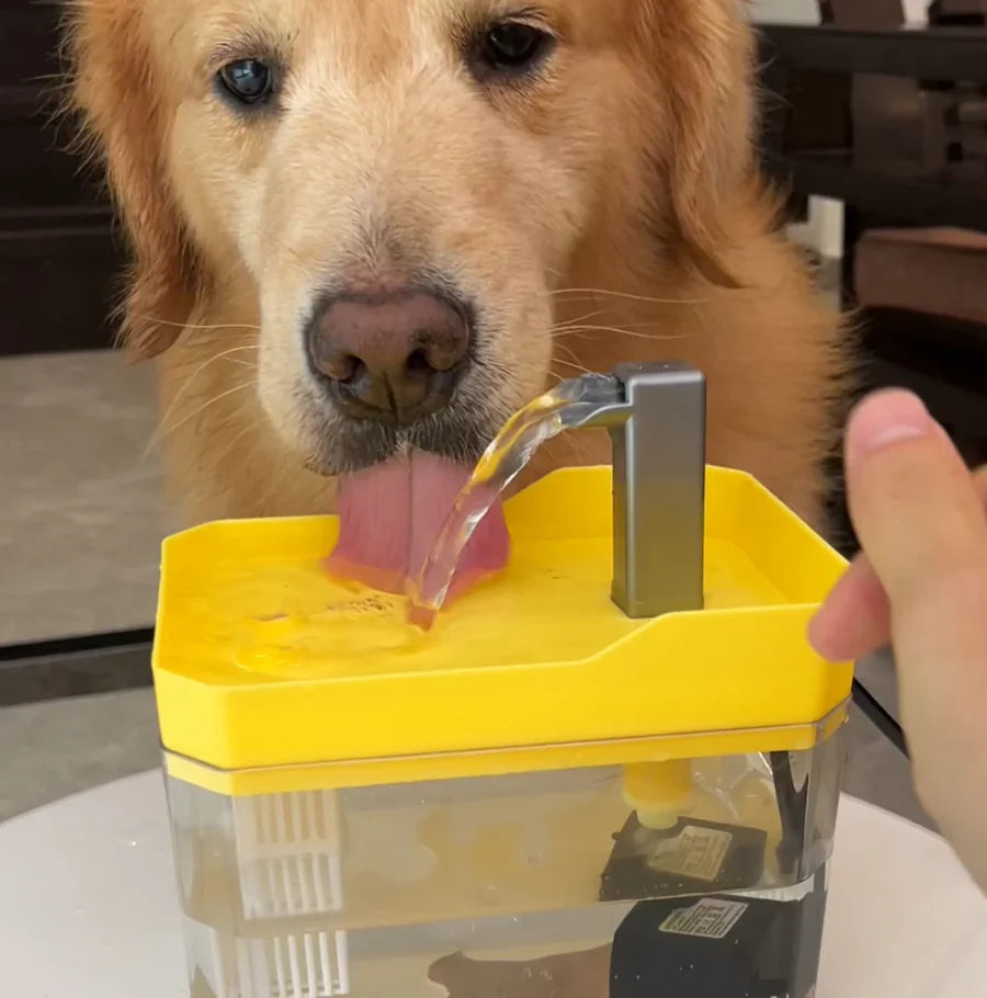 Wiggly™ PureFlow Pet Fountain