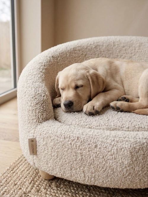 The Wiggly Bouclé Sofa