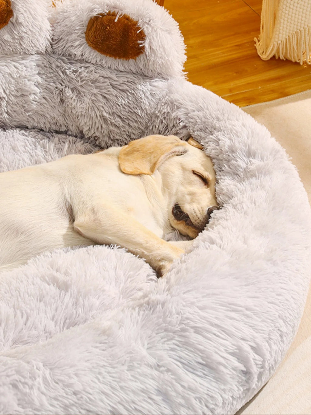 Wiggly™ Paw Pet Bed