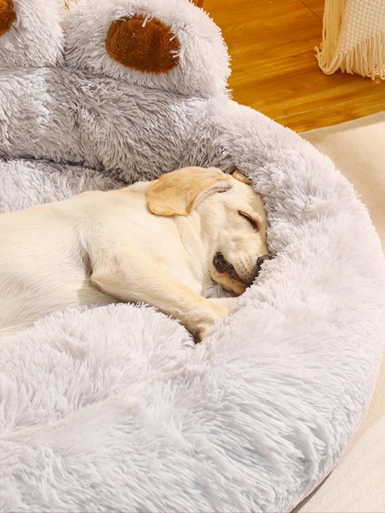 Wiggly™ Paw Pet Bed