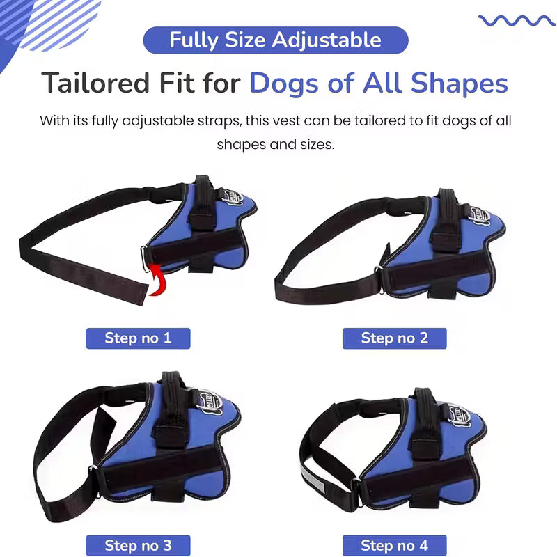 Wiggly™ NoPull Harness