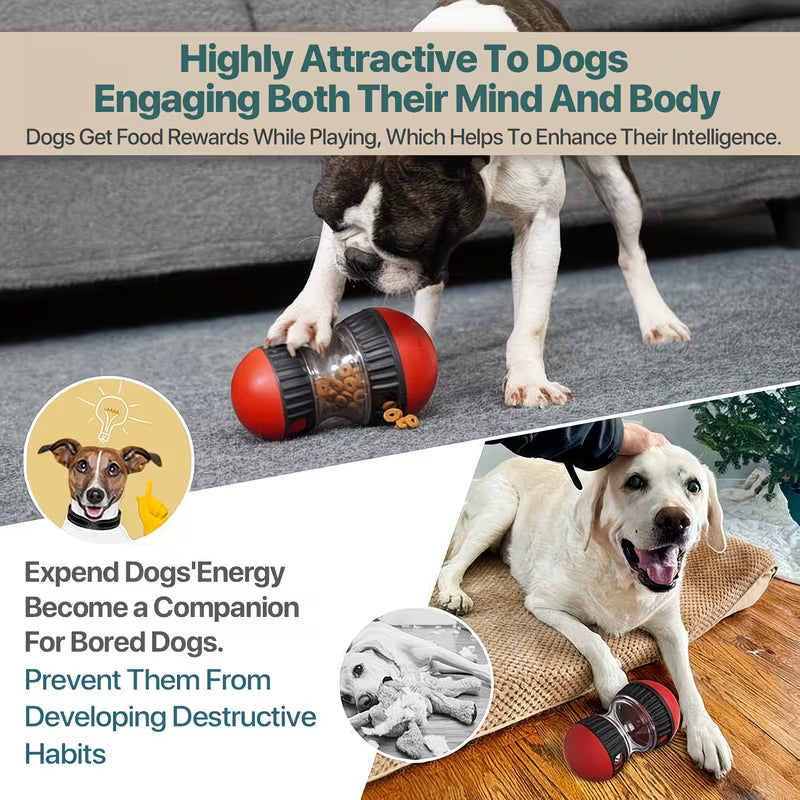 Wiggly™ SlowFeeder Toy