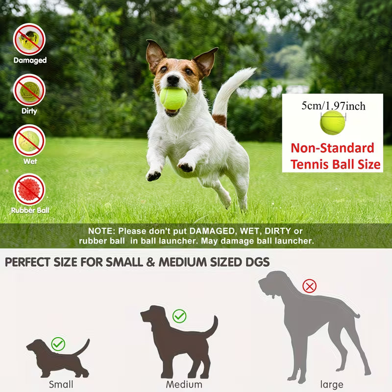 Wiggly™ Auto Fetch Ball Launcher Compact – for Small & Medium Dogs