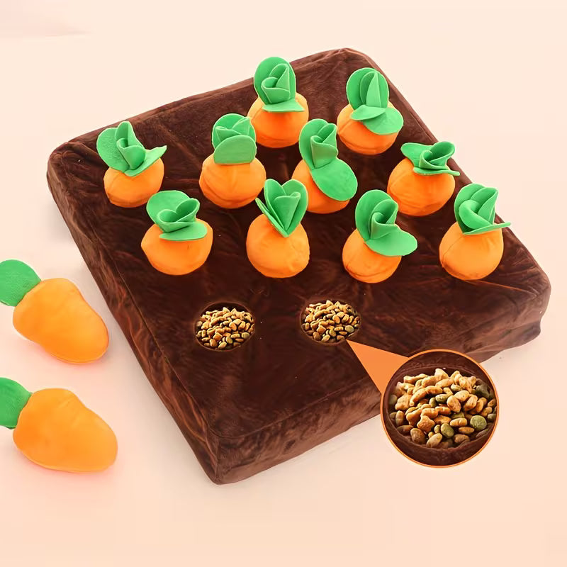 Wiggly™ CarrotQuest Toy