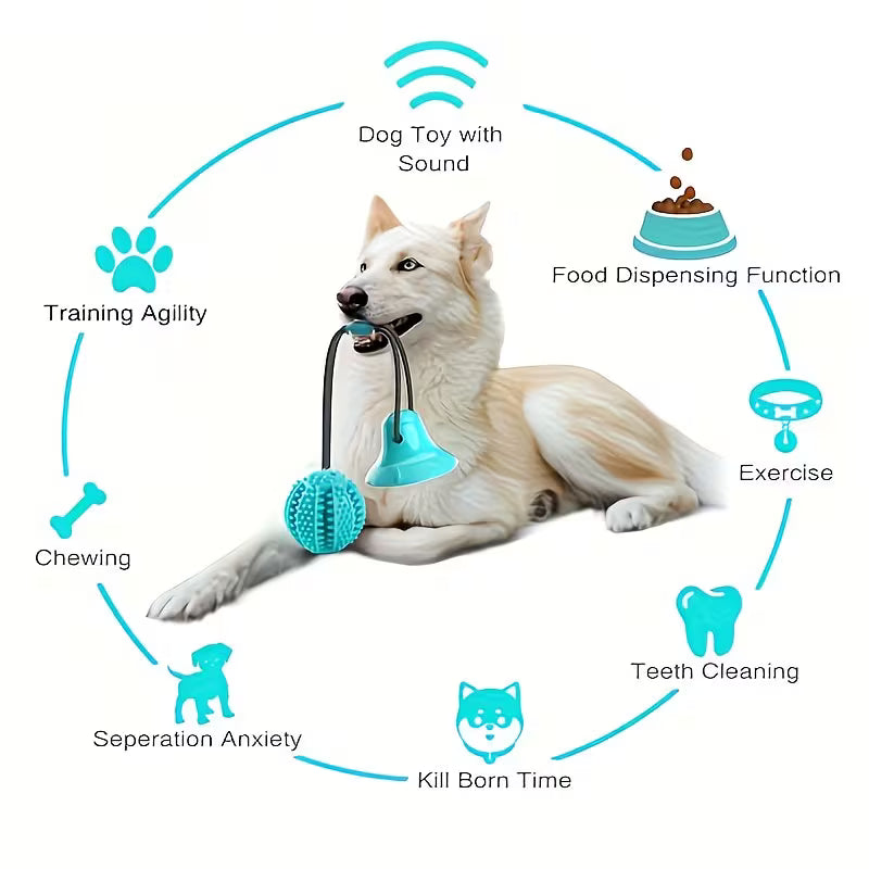 Wiggly™ TreatPull Toy
