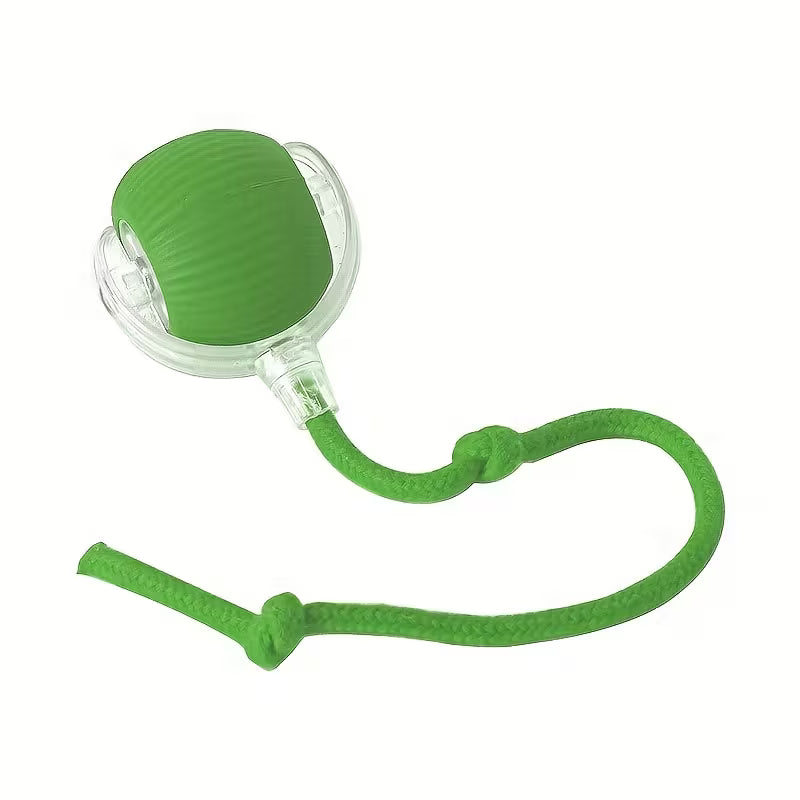 Wiggly™ Smart Rolling Ball