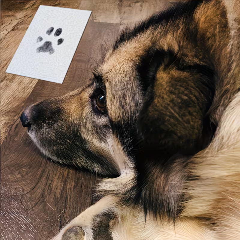 Wiggly™ PawMemory Pad