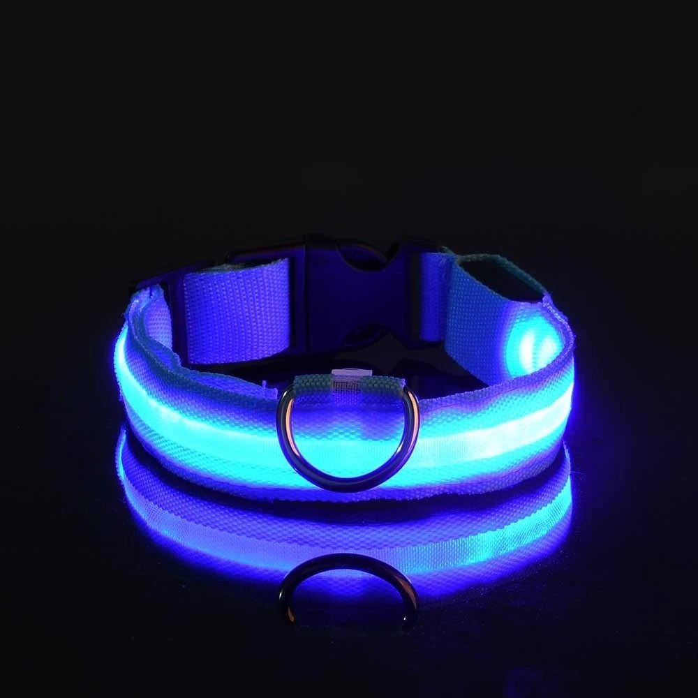 Wiggly™ LightSafe Collar