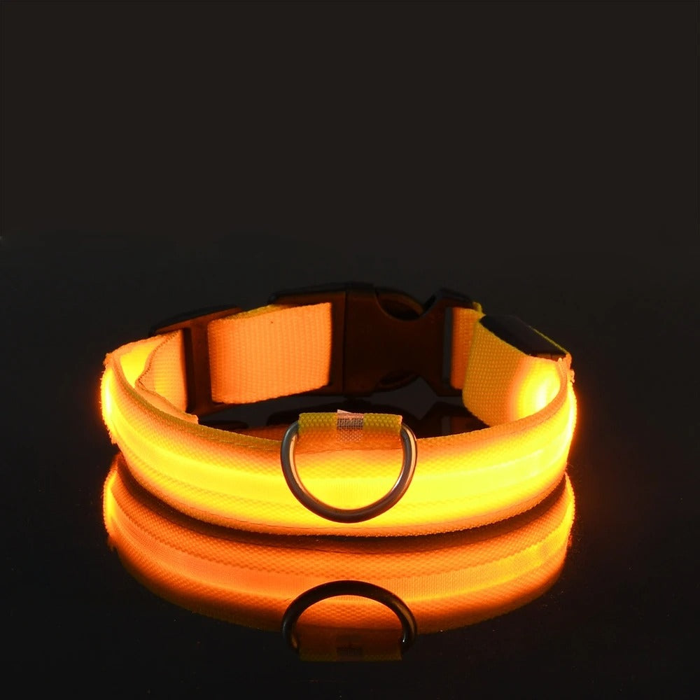 Wiggly™ LightSafe Collar