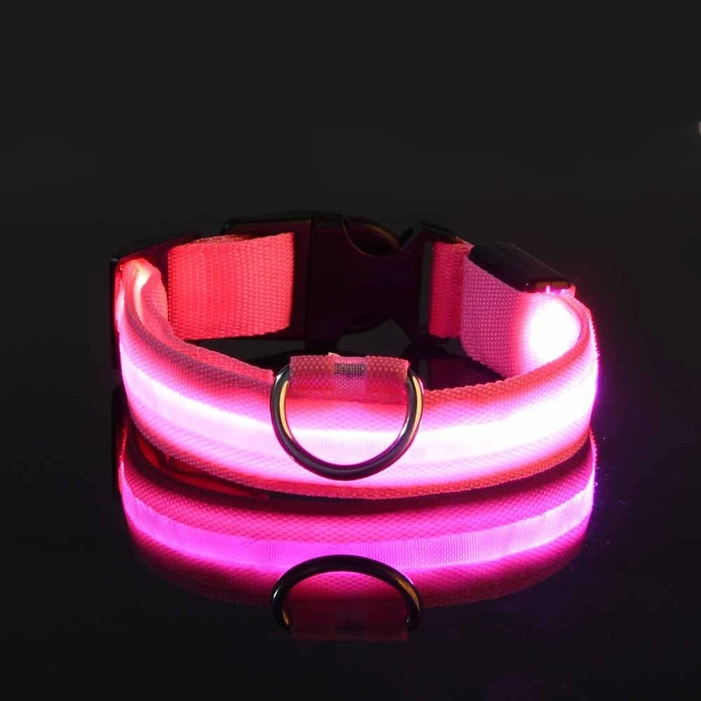 Wiggly™ LightSafe Collar