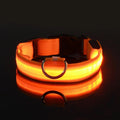 Wiggly™ LightSafe Collar