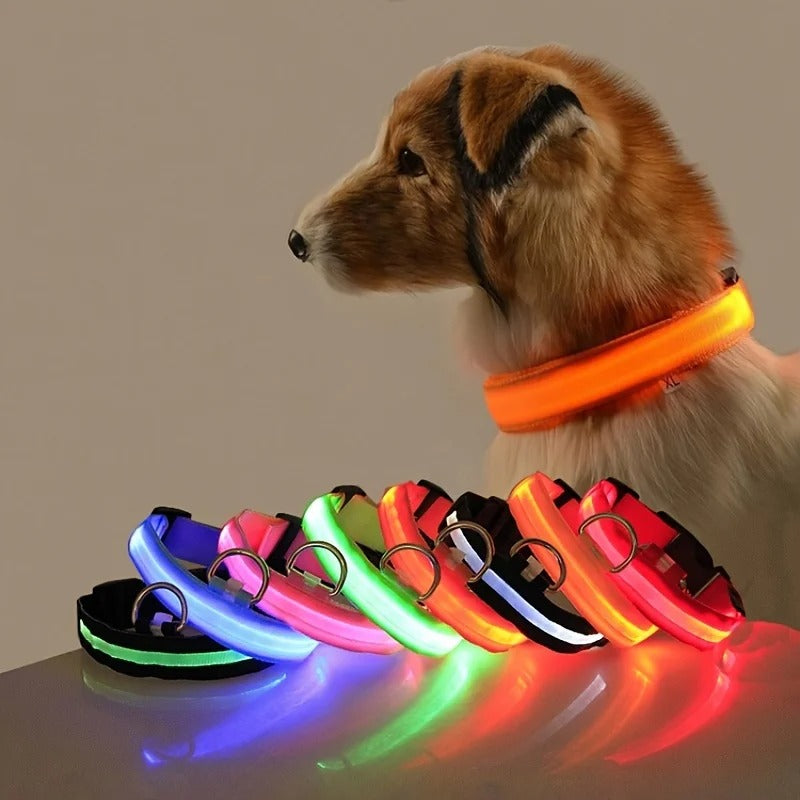 Wiggly™ LightSafe Collar