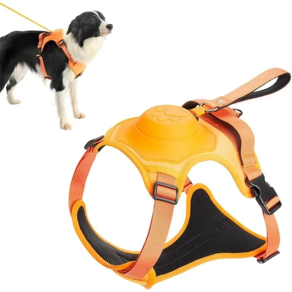 Wiggly™ NoPull Harness