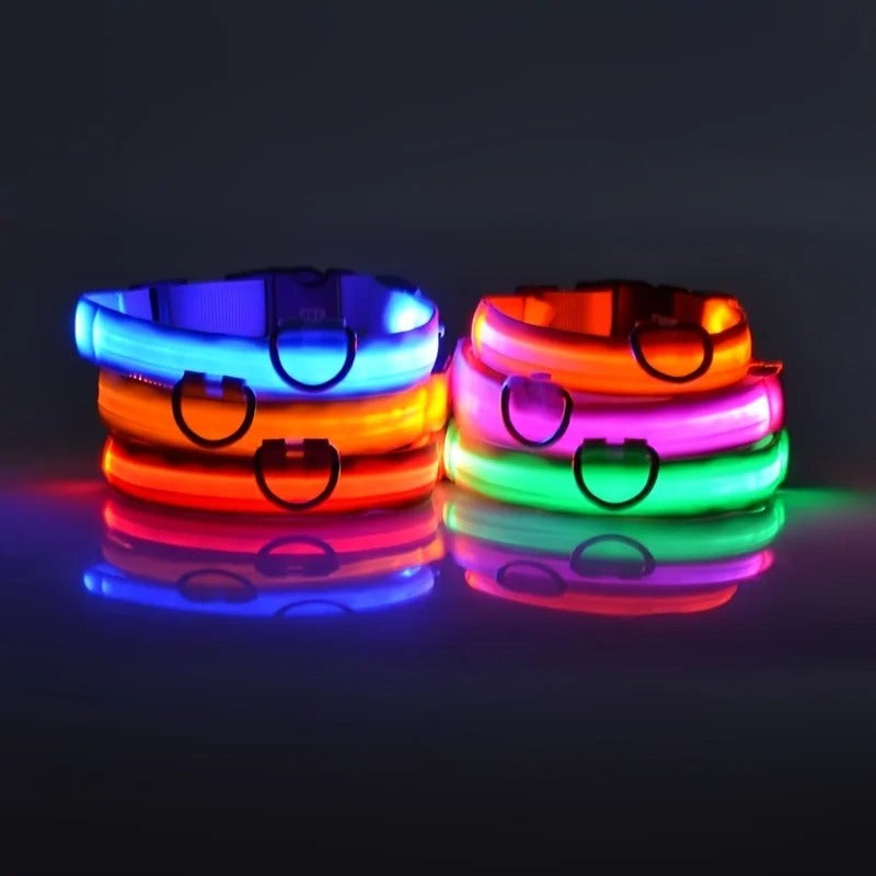 Wiggly™ LightSafe Collar