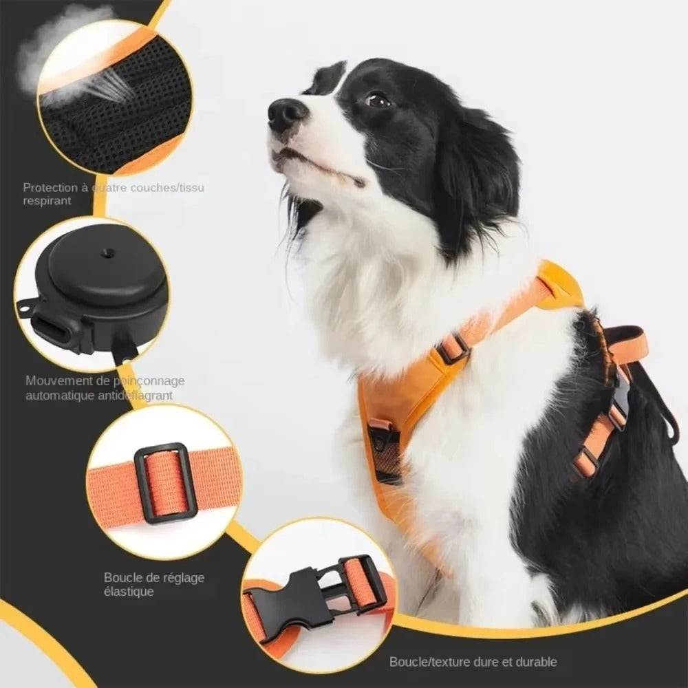 Wiggly™ NoPull Harness