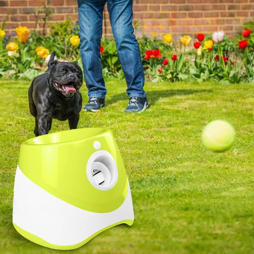 Wiggly™ Auto Fetch Ball Launcher Compact – for Small & Medium Dogs