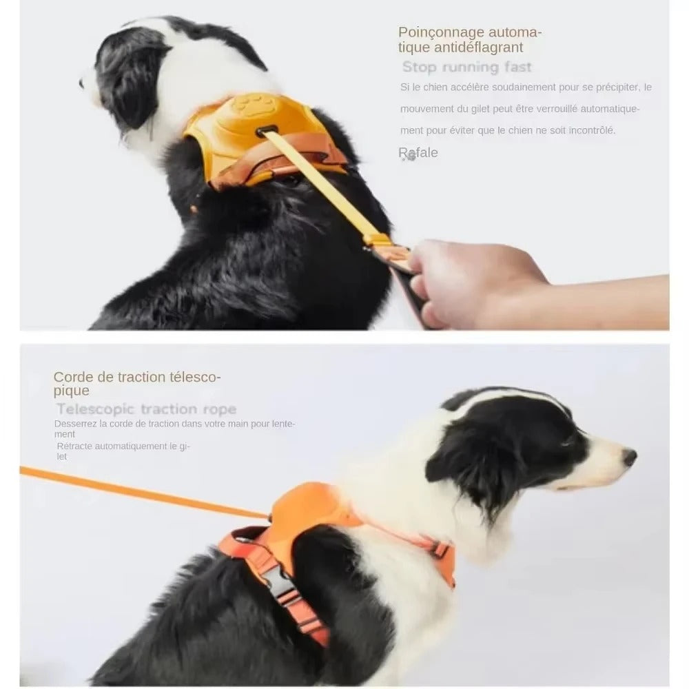 Wiggly™ NoPull Harness