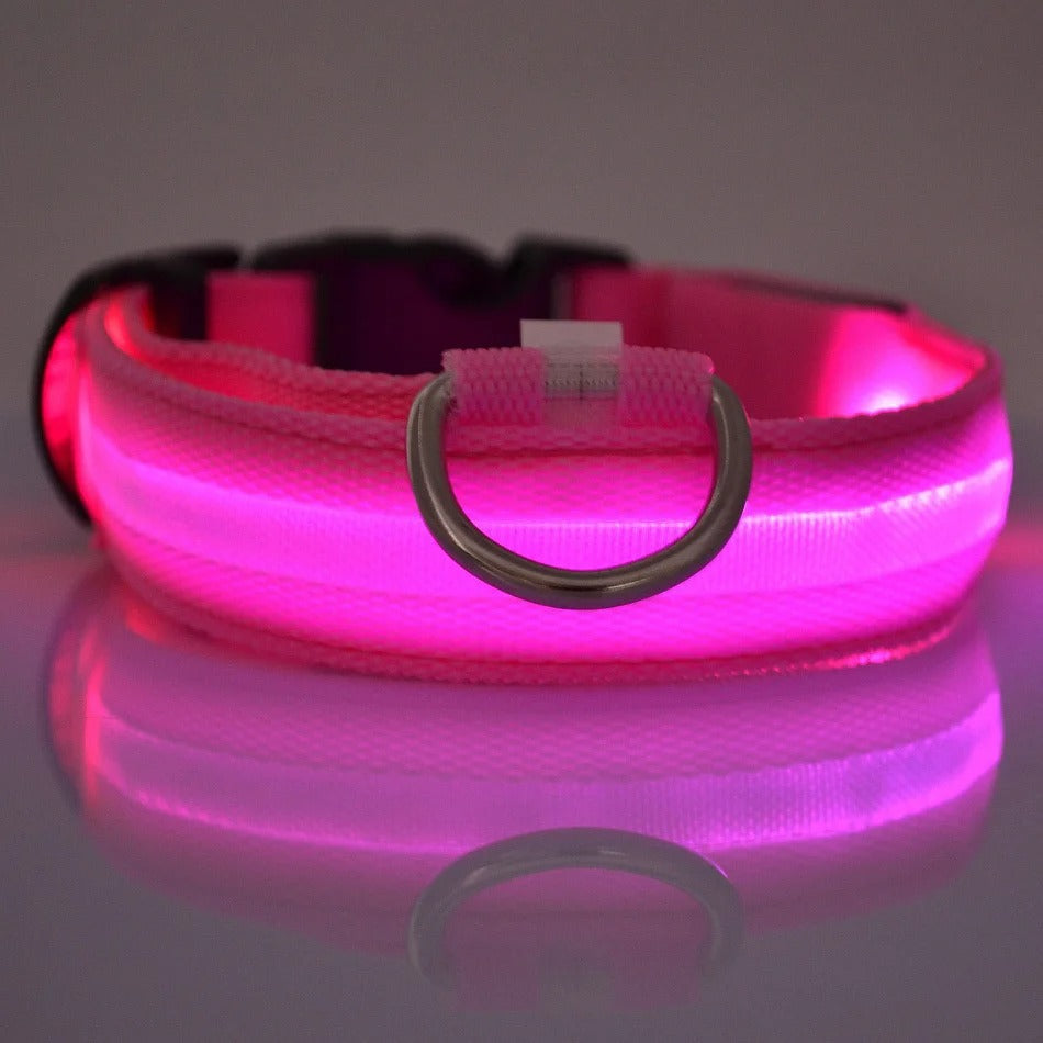 Wiggly™ LightSafe Collar