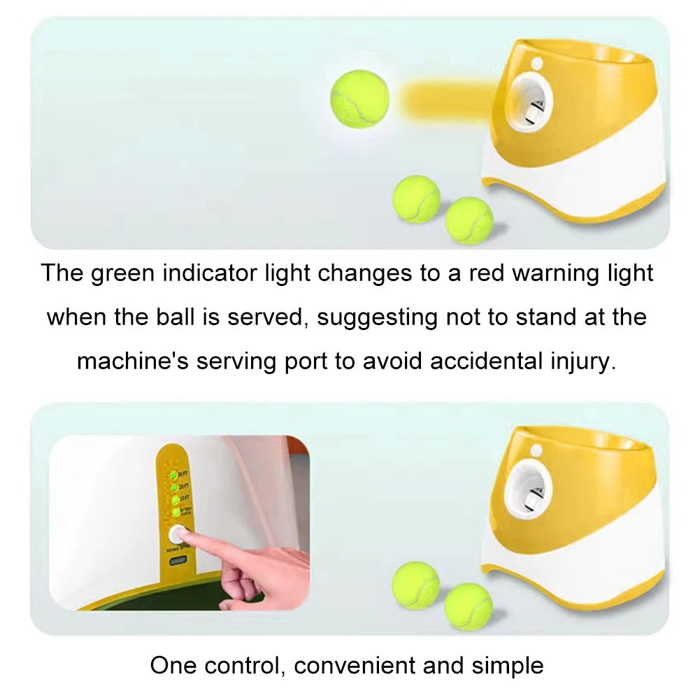 Wiggly™ Auto Fetch Ball Launcher Compact – for Small & Medium Dogs