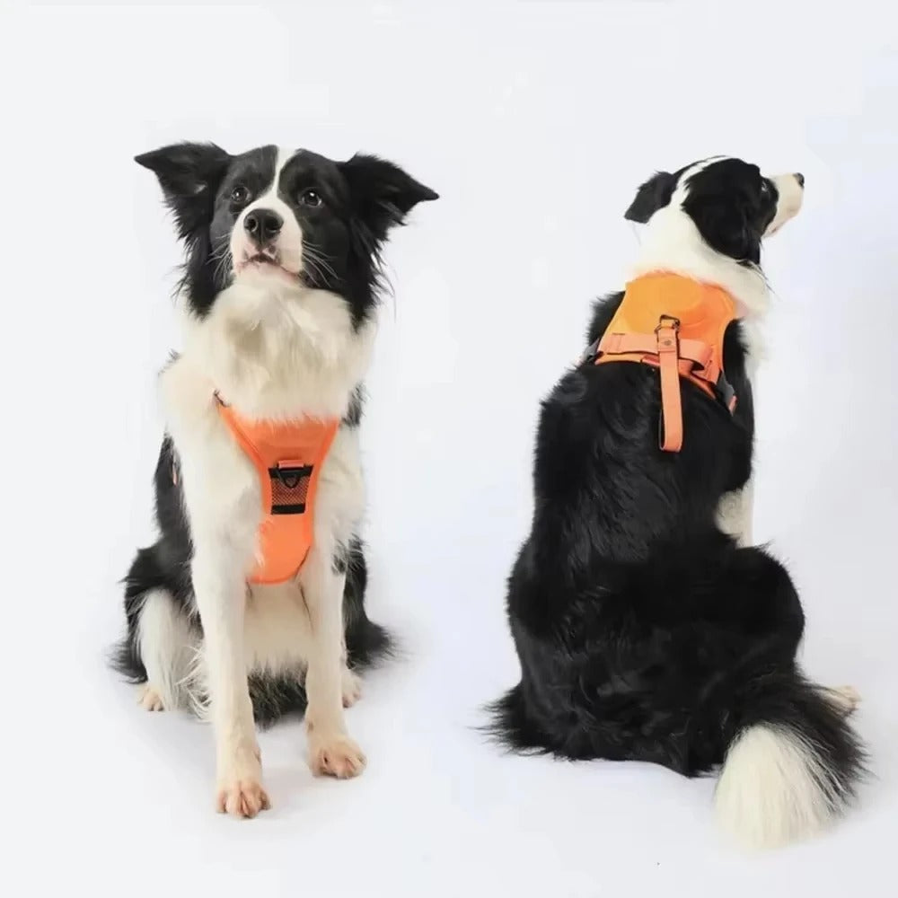 Wiggly™ NoPull Harness