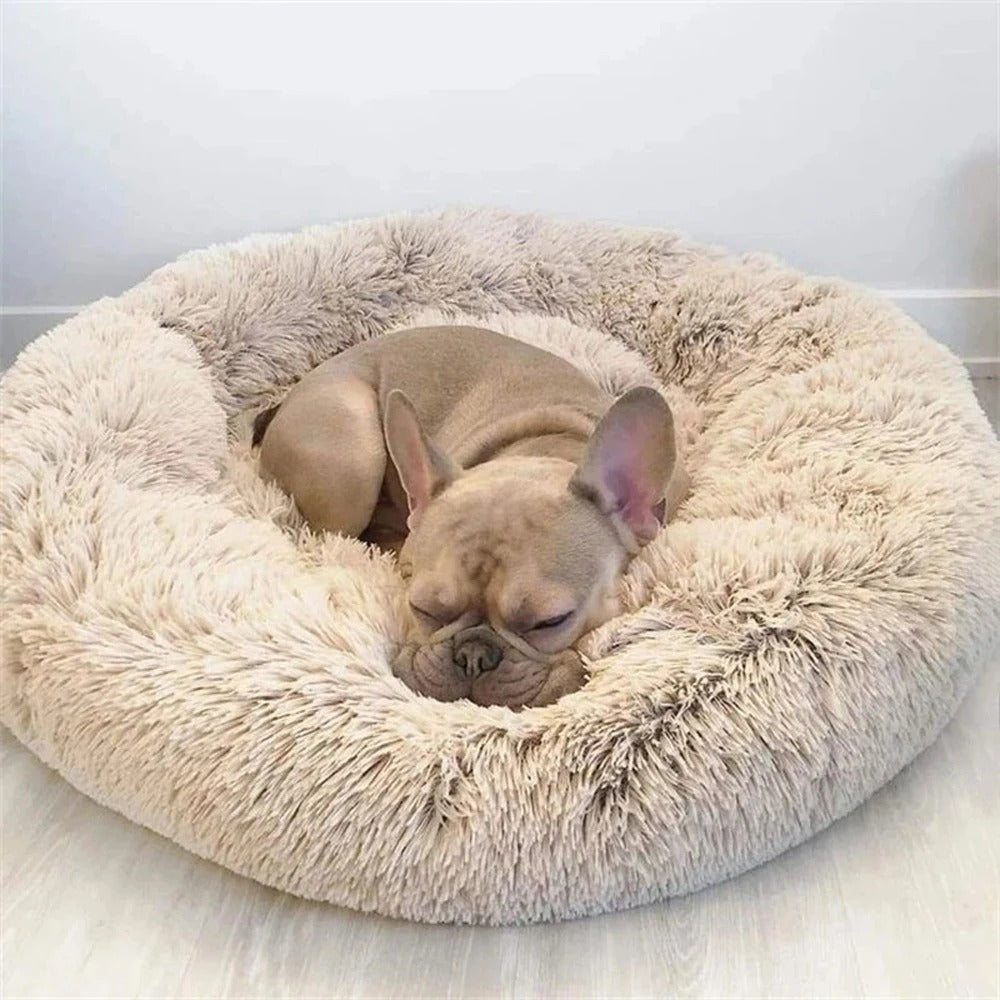Wiggly™ Cozy Pet Bed