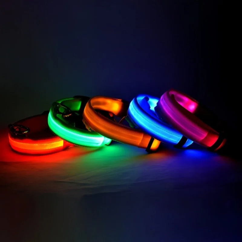 Wiggly™ LightSafe Collar