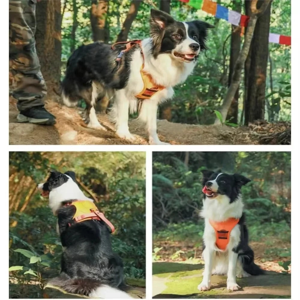 Wiggly™ NoPull Harness
