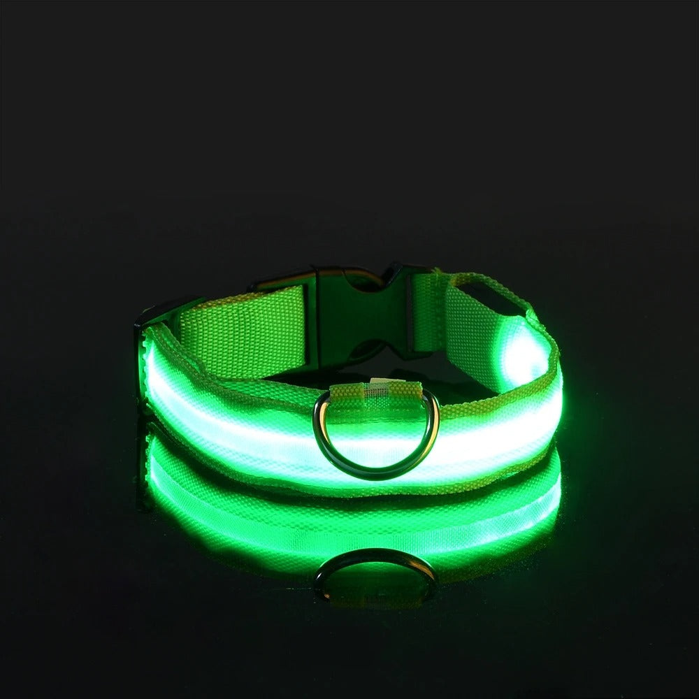 Wiggly™ LightSafe Collar