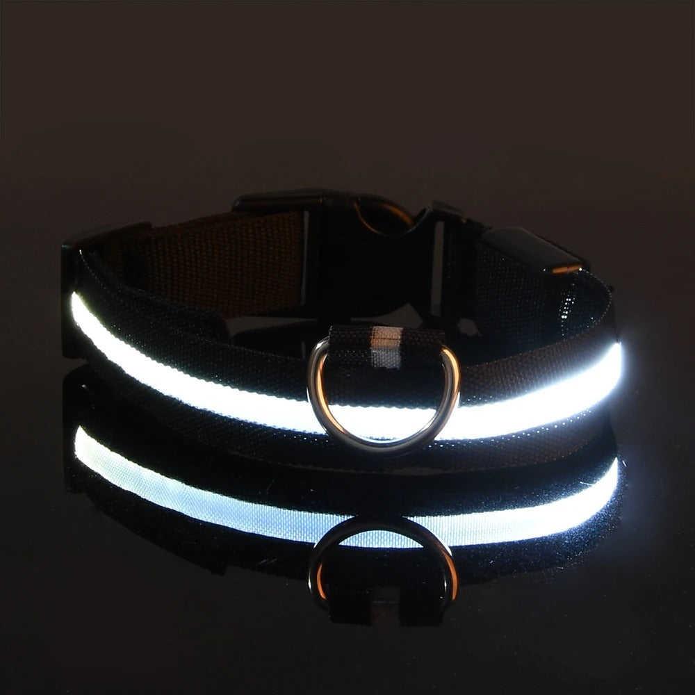 Wiggly™ LightSafe Collar