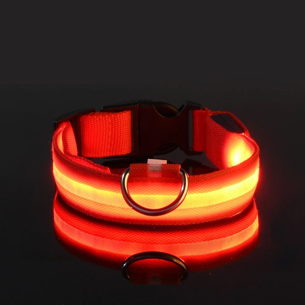 Wiggly™ LightSafe Collar