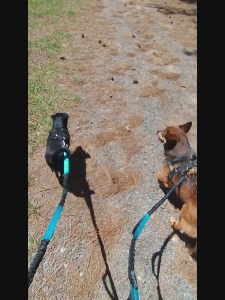 Wiggly™ FreeRun Leash
