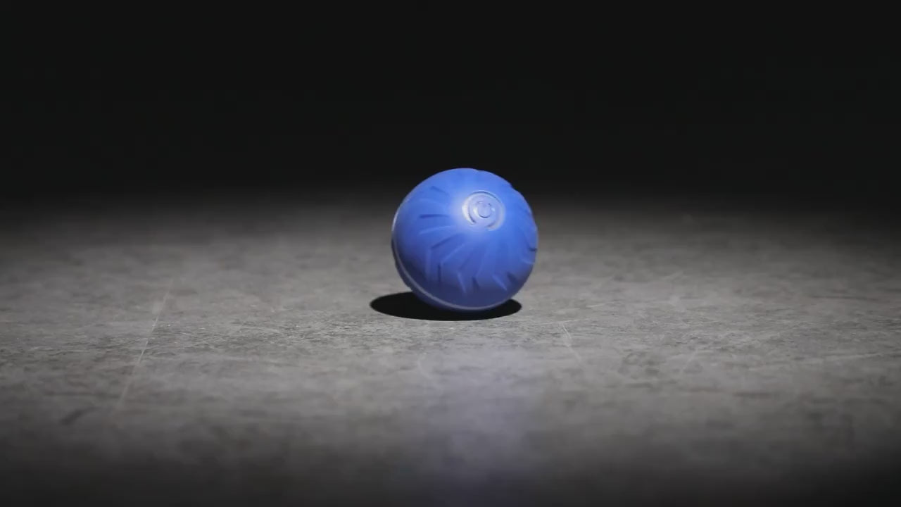 Wiggly™ Smart Ball