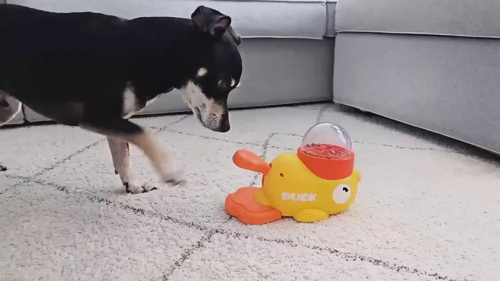 Wiggly™ SmartPaw Dispenser